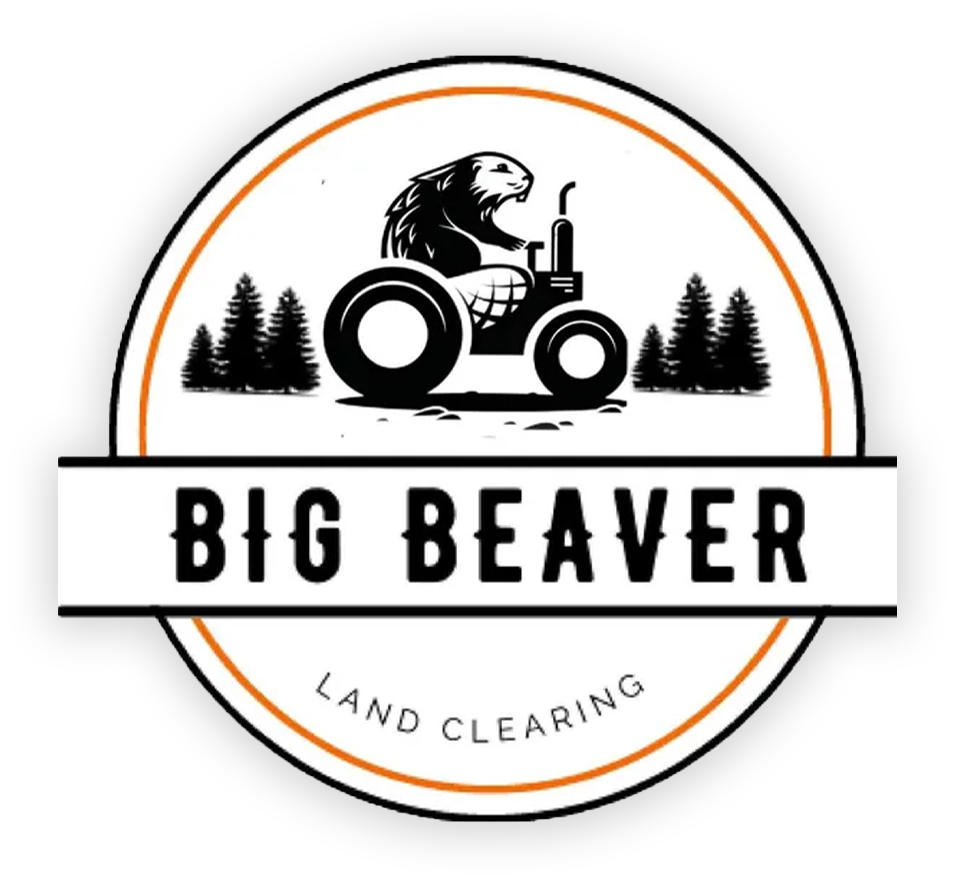 Beaver Polish