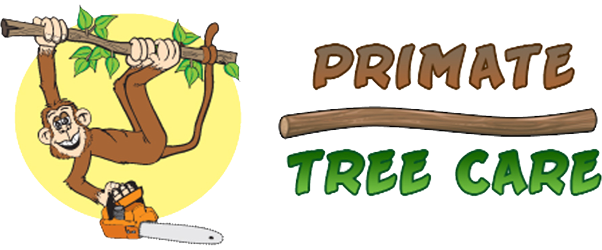 Primate Tree Care